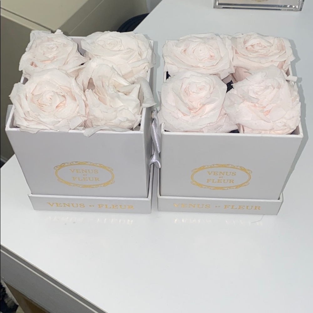 Blush Venues Et Fleur Boxes (Set of Two)